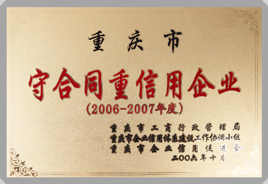 集團(tuán)榮譽(yù)